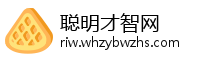 聪明才智网